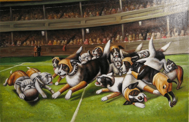 Perros jugando football