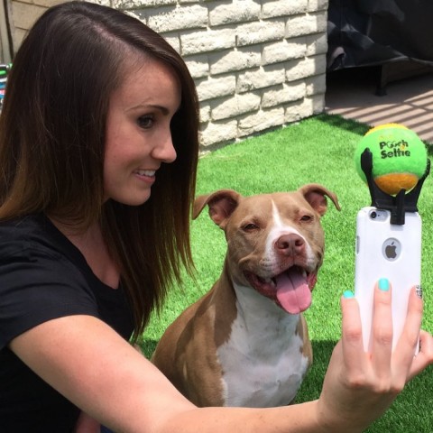 Accesorio selfies de perros 