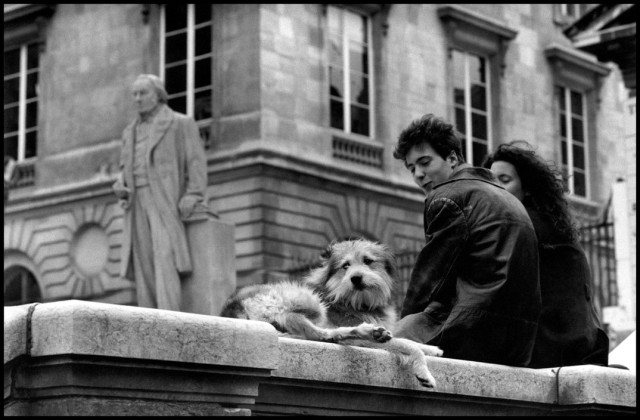 15 Fotografías Vintage de Perros en Paris tomadas en el siglo pasado