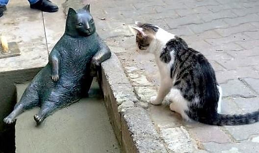 gato homenajeado con estatua