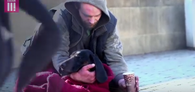 Ayuda a perros de personas sin hogar