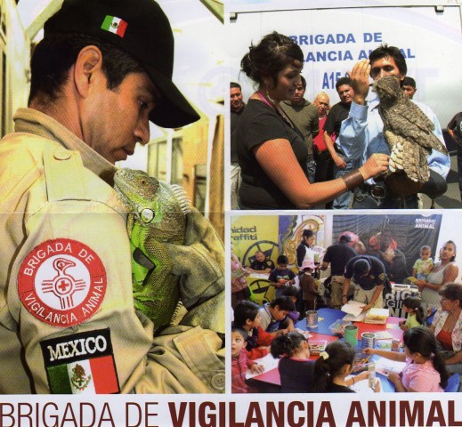 Foto_Brigada Animal_DF