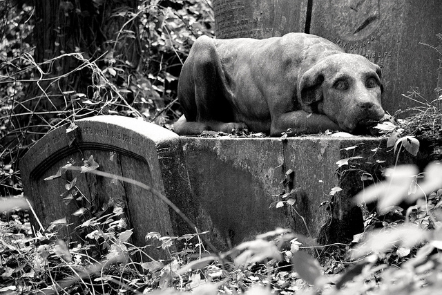 El primer cementerio de mascotas de la historia, Hartsdale