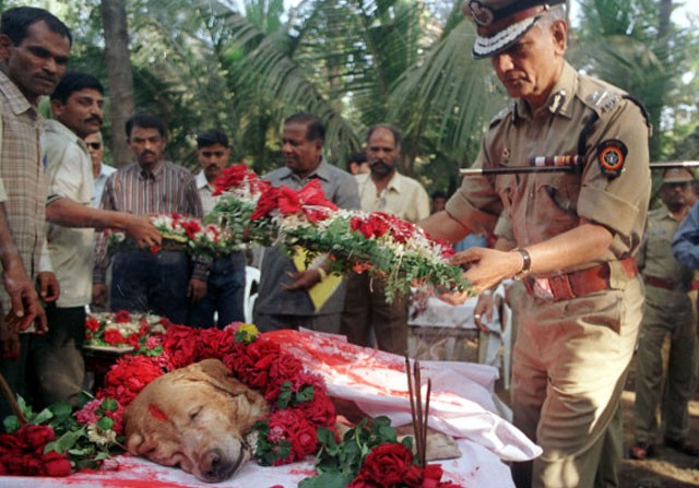 Foto_Perro_Zanjeer_Funeral