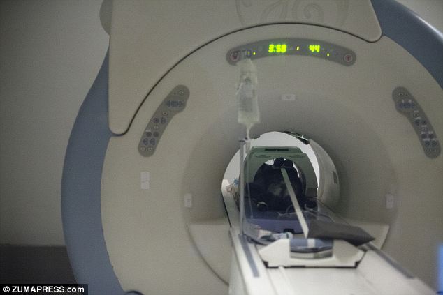 El escaner mostro su cerebro se activa con el olor de su humano