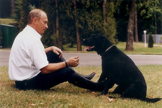 Los Perros De Los Presidentes Del Mundo Ellos También Disfrutan De Su Amor