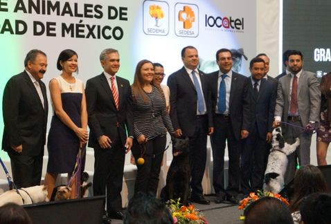 Crean programa PERRO para registro voluntario de mascotas en Mexico DF