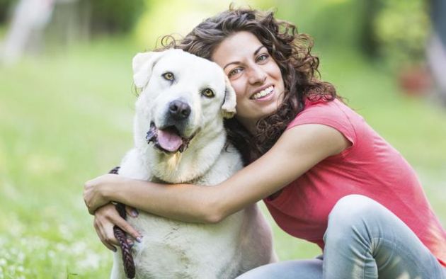 6 Consejos para evitar el robo de tu amado perro