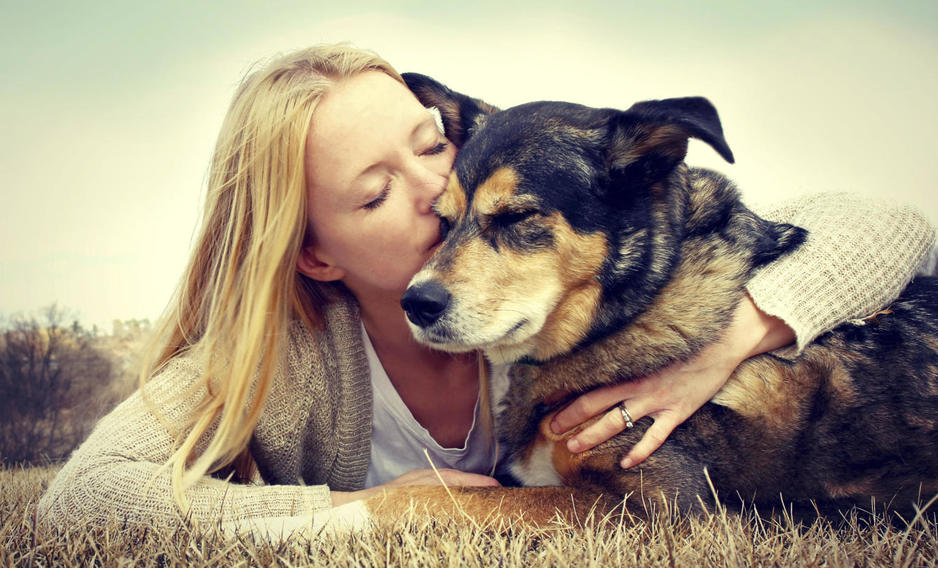 Descubren que la hormona del amor también ‘ataca’ a los perros