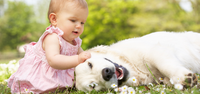 Estudio demuestra niños con perro padecen menos enfermedades