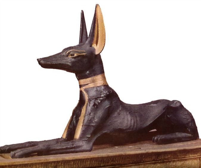 ¿Porque antiguos Egipcios consideraban a Perros sagrados?