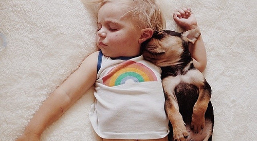 Bebe y su perro adoptado no pueden dormir uno sin el otro