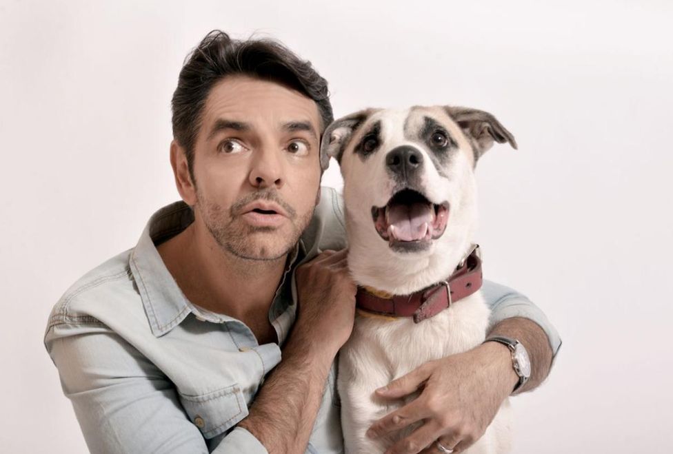 Famosos promueven la adopción de perros ¡Descubre quienes son parte de esta campaña!