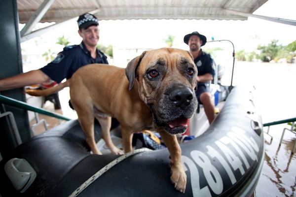 policia-rescata-perro-en-barca