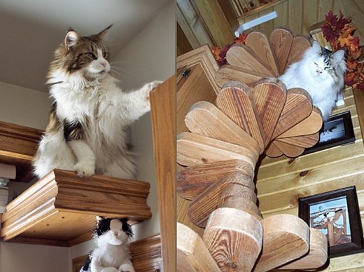 Hombre dedica 15 años de su vida a construir una mansión para sus gatos