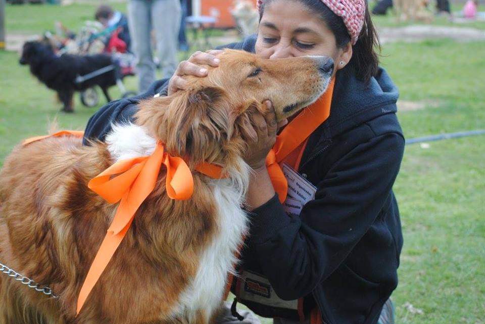 Refugio Argentino da nueva oportunidad de vivir a 130 perros en silla de ruedas