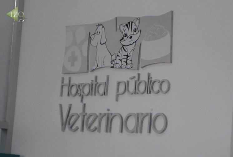 Hospital-público-veterinario