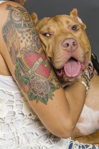 Perros rescatados y tatuajes
