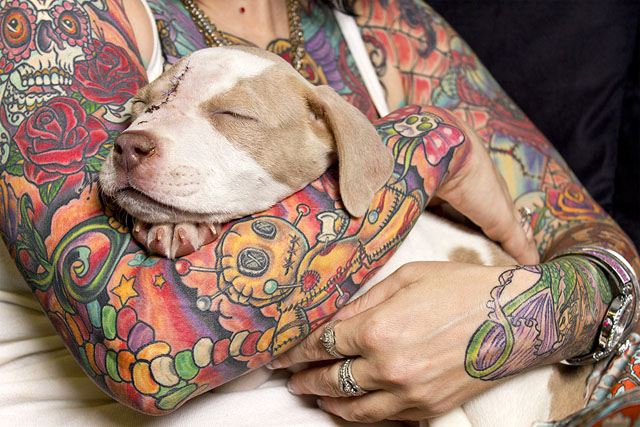 Perros rescatados con sus humanos llenos de tatuajes que rompen prejuicios