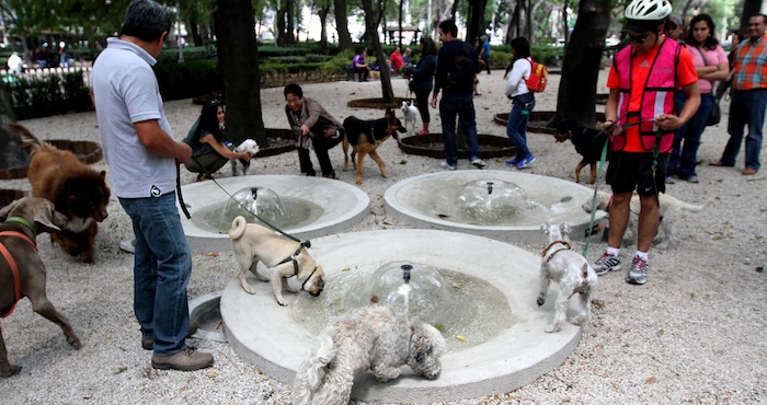 ¡Entérate! ¡Inauguran nueva área para perros en el Parque México!