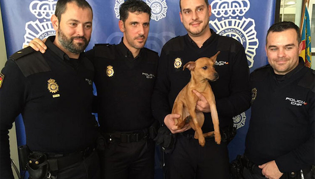 Policías no solo rescatan a perro sino costean su rehabilitación y detienen a su atacante