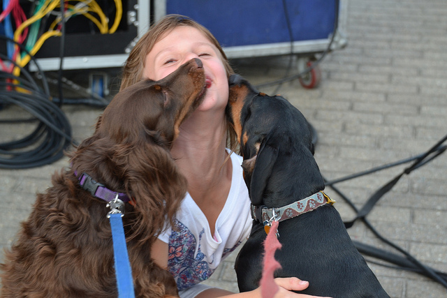 Nuevo estudio busca probar los besos de tu perro son buenos para ti