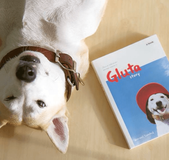 La perra que sobrevivió la calle, venció el cancer e inspiró Libro