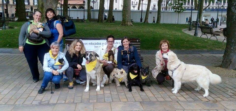 Bailes repentinos de perros y sus humanos están invadiendo calles de España