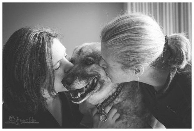 10 fotos profesionales tomadas gratis a dueños y sus perros a punto de morir
