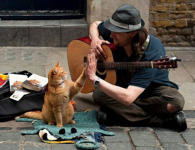 El gato que convirtió a músico callejero de Londres en estrella e inspiró libro best seller