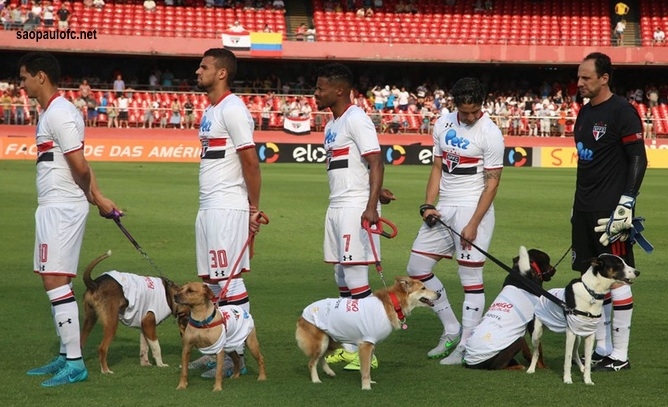 Equipo sorprende entrando a juego de futbol con perros para promover adopción