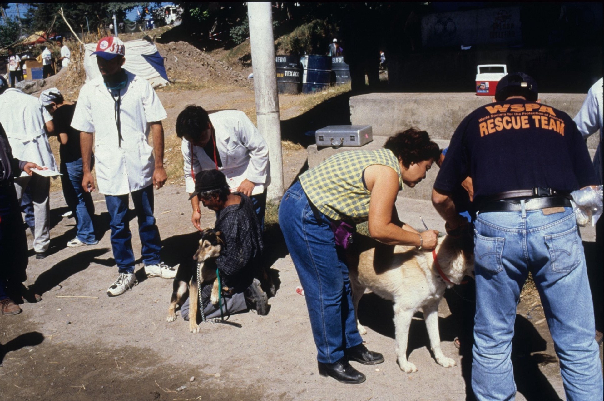 ¿Sabes qué hacer con tu perro en caso de sismo?