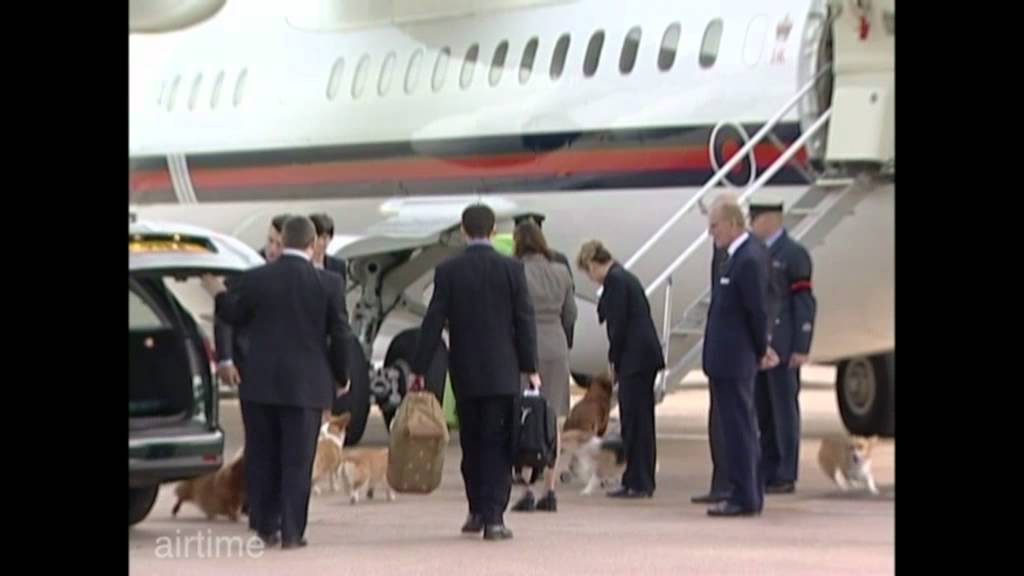 Así viajan los perros de la Reina de Inglaterra en su avion privado