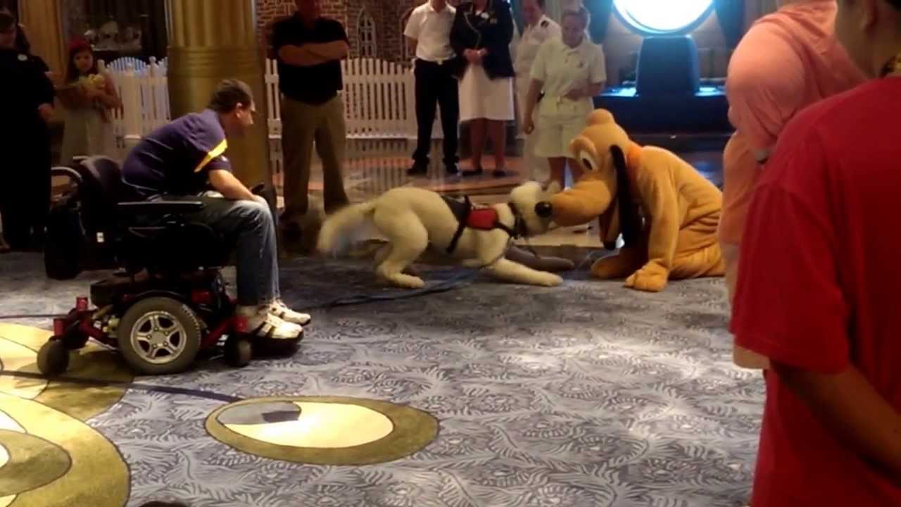 Empleado Disney disfrazado de Pluto conoce a perro de servicio y se hacen amigos¡