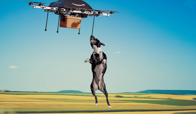 perro crontra dron