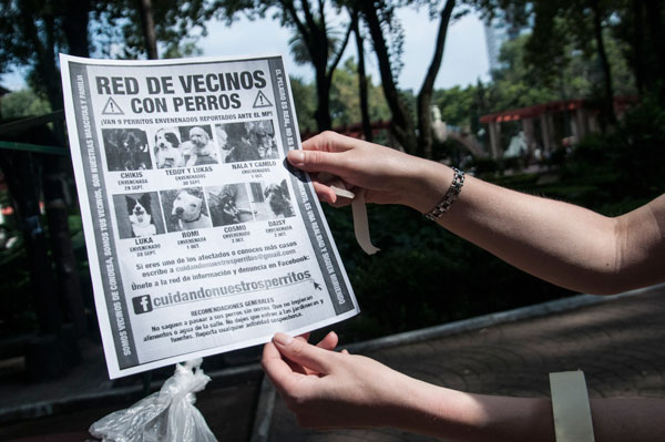 Catean Sospechosas Envenenar perros en Mexico