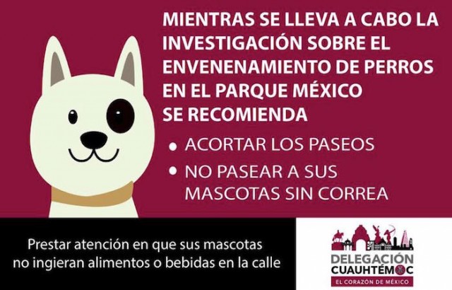 Foto-Envenenamiento de Perros-Recomendaciones-México