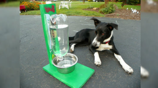 ¡Aprende cómo hacer un bebedero autorellenable para tu perro y recicla al mismo tiempo!