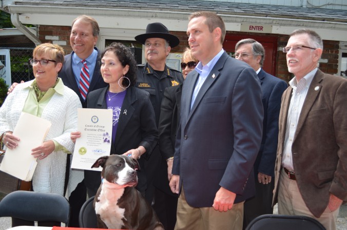 California aprueba ley que prohibe tengan perros quien maltrate animales