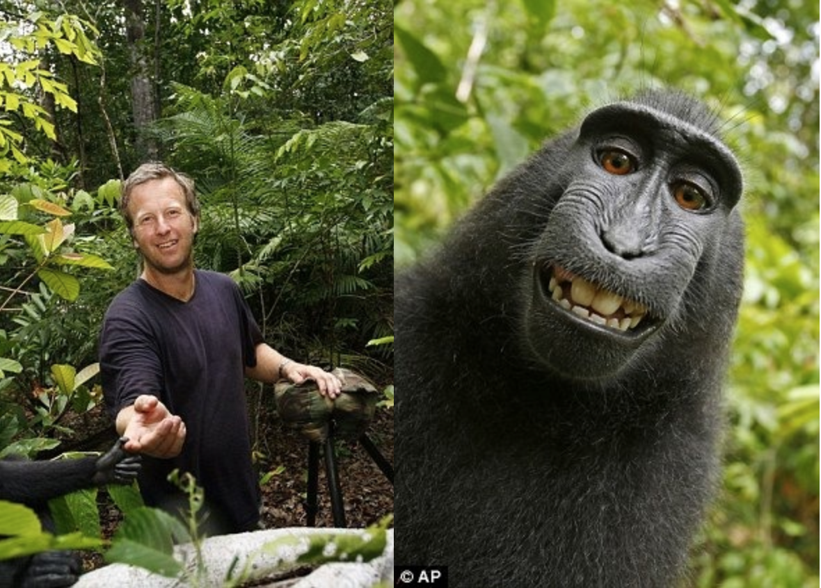 La selfie mas famosa es de un mono