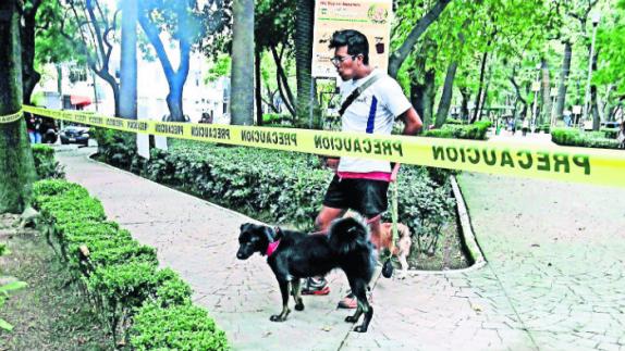 recompensa responsable perros envenenados en condesa 2