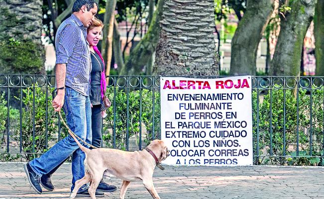 perros envenenados en condesa