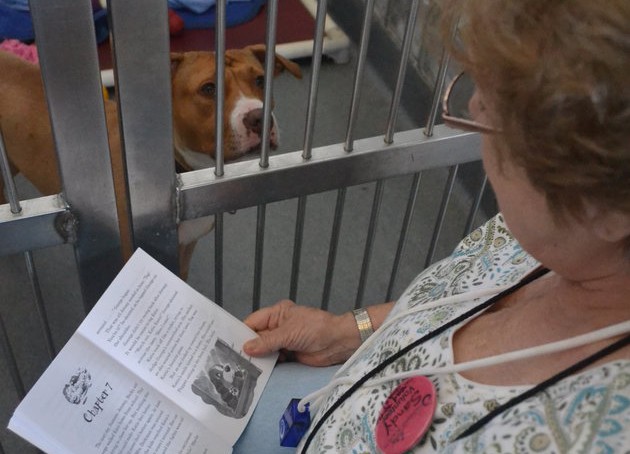 Mujer lee a perros de refugio para que no se sientan solos