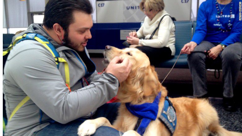 Aerolínea emplea perros para reducir estrés en viajeros