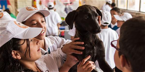 Maestra en Colombia educa a niños a salvar animales