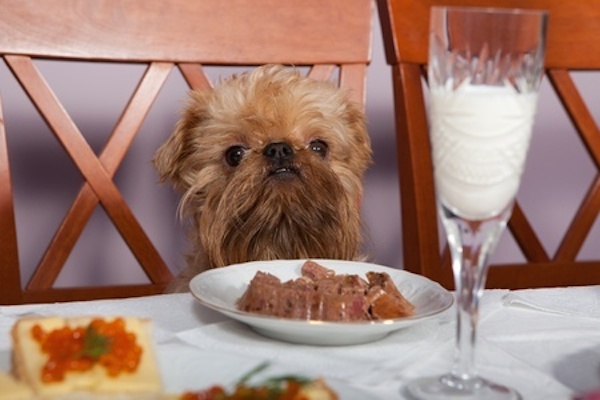 5 alimentos de cena fin de año dañinos para tu perro