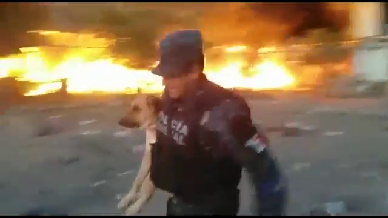 Policía salva a Perro de Incendio en Tamaulipas, México