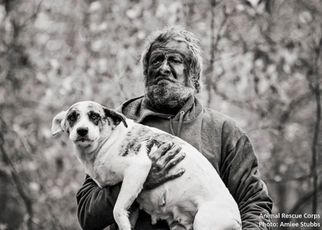 Hombre vivió en bosque no aceptó ayuda hasta que sus 31 perros la tuvieran
