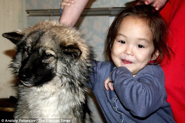 Niña sobrevive 12 días en bosque de Siberia gracias a su perro