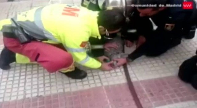 Bomberos reviven de paro respiratorio a perrito